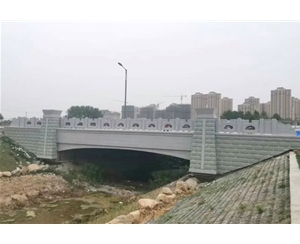 河南界首桥梁 (2)